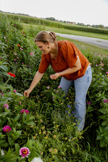How We Grow and Forage Botanicals for Our Products