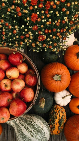 Autumn Collection