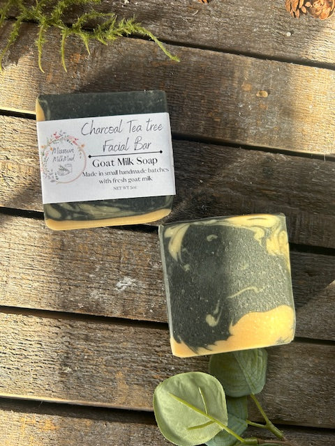 Charcoal Tea Tree Facial Bar